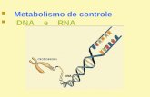 Metabolismo de controle     DNA    e    RNA