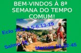 BEM-VINDOS  À 8ª SEMANA DO TEMPO COMUM!