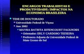 ENCARGOS TRABALHISTAS E PRODUTIVIDADE: IMPACTOS NA ECONOMIA BRASILEIRA