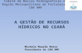 Comitê de Bacias Hidrográficas da Região Metropolitana de Fortaleza – CBH RMF