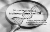 Biotecnologia no Melhoramento Animal