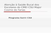 Atenção à Saúde Bucal dos Escolares do CMEI CSU Major Cosme de Farias