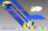 Previsões climáticas & Agricultura
