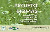 PROJETO BIOMAS Proteção e uso  sustentável de  paisagens dos  biomas brasileiros