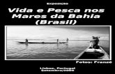 Vida e Pesca nos Mares da Bahia (Brasil)