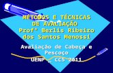 MÉTODOS E TÉCNICAS DE AVALIAÇÃO  Profª Berlis Ribeiro dos Santos Menossi