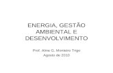 ENERGIA, GESTÃO AMBIENTAL E DESENVOLVIMENTO