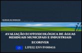AVALIAÇÃO ECOTOXICOLÓGICA DE ÁGUAS RESIDUAIS MUNICIPAIS E INDUSTRIAIS ECORIVER LIFE02 ENV/P/000416