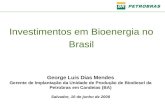 Investimentos em Bioenergia 01
