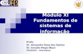 Módulo XI Fundamentos de sistemas de informação