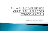 AULA 6:  A DIVERSIDADE CULTURAL: RELAÇÕES ÉTNICO-RACIAIS