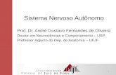 Sistema Nervoso  A utônomo Prof. Dr. André Gustavo Fernandes de Oliveira