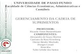 UNIVERSIDADE DE PASSO FUNDO Faculdade de Ciências Econômicas, Administrativas e Contábeis