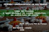 FESURV - UNIVERSIDADE DE RIO VERDE