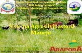 Sistema Agrosilvipastoril Manejo