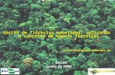Gestão de florestas manejadas: aplicando o conceito de manejo florestal
