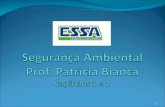 Segurança Ambiental Prof. Patrícia Bianca Capítulos 1 e 2