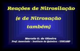 Reações de Nitrosilação Marcelo G. de Oliveira Prof. Associado – Instituto de Química – UNICAMP