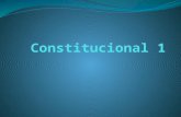 Constitucional 1