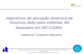 Algoritmos de alocação dinâmica de recursos rádio para sistemas 4G baseados em MC-CDMA