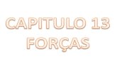 CAPITULO 13 FORÇAS