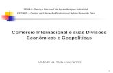 Comércio Internacional e suas Divisões Econômicas e Geopolíticas