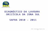 DIAGNÓSTICO DA LAVOURA  ORIZÍCOLA DA ZONA SUL SAFRA 2010 - 2011