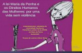 A lei Maria da Penha e os Direitos Humanos das Mulheres: por uma vida sem violência