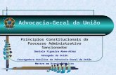 Princípios Constitucionais do Processo Administrativo Sancionador  Daniela Figueira Aben-Athar