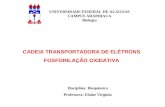 CADEIA TRANSPORTADORA DE ELÉTRONS FOSFORILAÇÃO OXIDATIVA