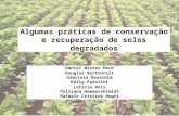 Algumas práticas de conservação e recuperação de solos degradados