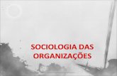 SOCIOLOGIA DAS ORGANIZAÇÕES