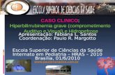 Apresentação: Fabiana L. Santos Coordenação: Paulo R. Margotto