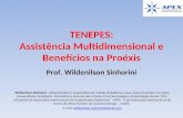 TENEPES: Assistncia Multidimensional e Benef­cios na Pro©xis