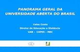 PANORAMA GERAL DA UNIVERSIDADE ABERTA DO BRASIL Celso  Costa Diretor  de  Educação  a  Distância