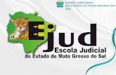 Poder Judiciário Do Estado de Mato Grosso do Sul
