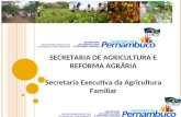 SECRETARIA DE AGRICULTURA E REFORMA AGRÁRIA Secretaria Executiva da Agricultura Familiar