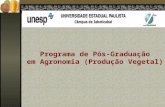 Programa de Pós-Graduação em Agronomia (Produção Vegetal)