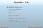 Capítulo 4:  SQL