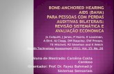 Aluna de Mestrado: Carolina Costa Cardoso Orientador: Prof. Dr. Fayez Bahmad Jr
