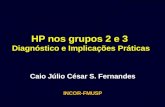 HP nos grupos 2 e 3  Diagnóstico e Implicações Práticas