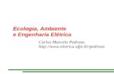 Ecologia, Ambiente    e Engenharia Elétrica