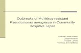 Outbreaks of Multidrug-resistant  Pseudomonas aeruginosa  in Community Hospitals Japan