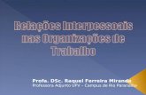 Profa. DSc. Raquel Ferreira Miranda Professora Adjunto UFV – Campus de Rio Paranaíba