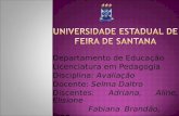 Universidade Estadual de  Feira de Santana