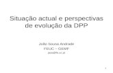 Situação actual e perspectivas de evolução da DPP