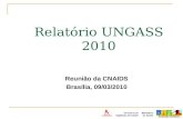 Relatório UNGASS 2010