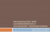 Organizações não governamentais e Sociedades transnacionais