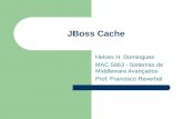 JBoss Cache