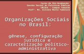 Organizações Sociais no Brasil: